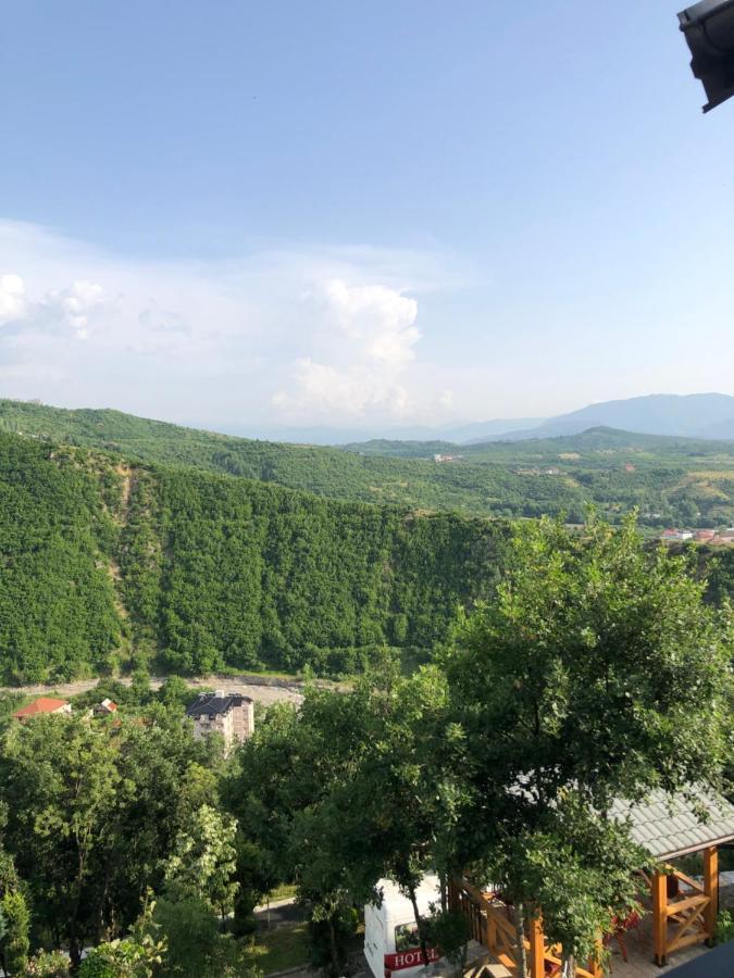 Hotel Bujtina Vrenezi Peshkopi Zewnętrze zdjęcie