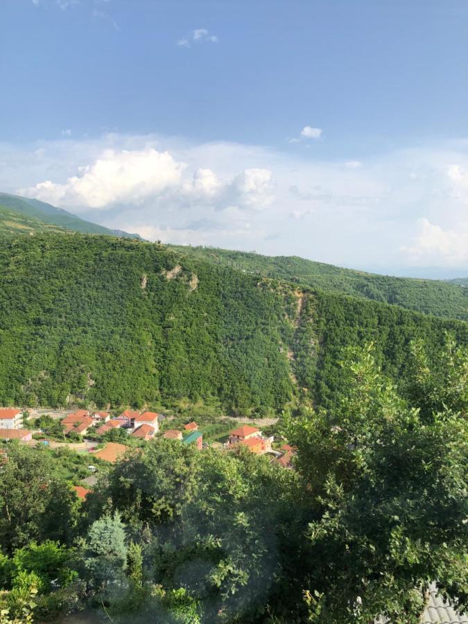 Hotel Bujtina Vrenezi Peshkopi Zewnętrze zdjęcie